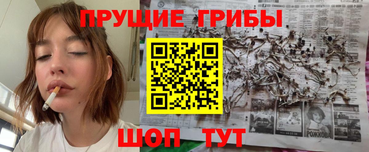 Псилоцибиновые грибы ЛСД Арсеньев