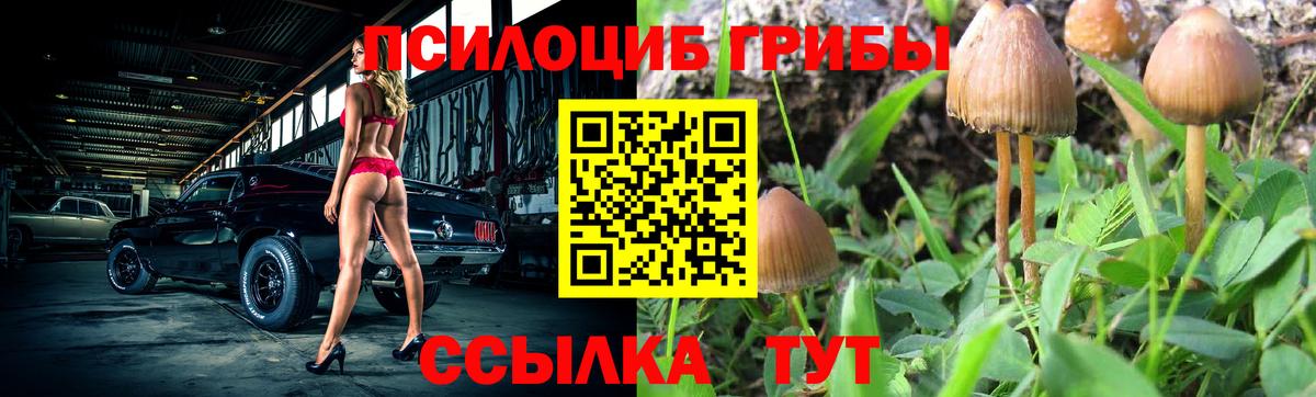 Галлюциногенные грибы GOLDEN TEACHER  Псилоцибиновые грибы Psilocybine cubensis  дарнет шоп  Арсеньев  Вход с VPN 